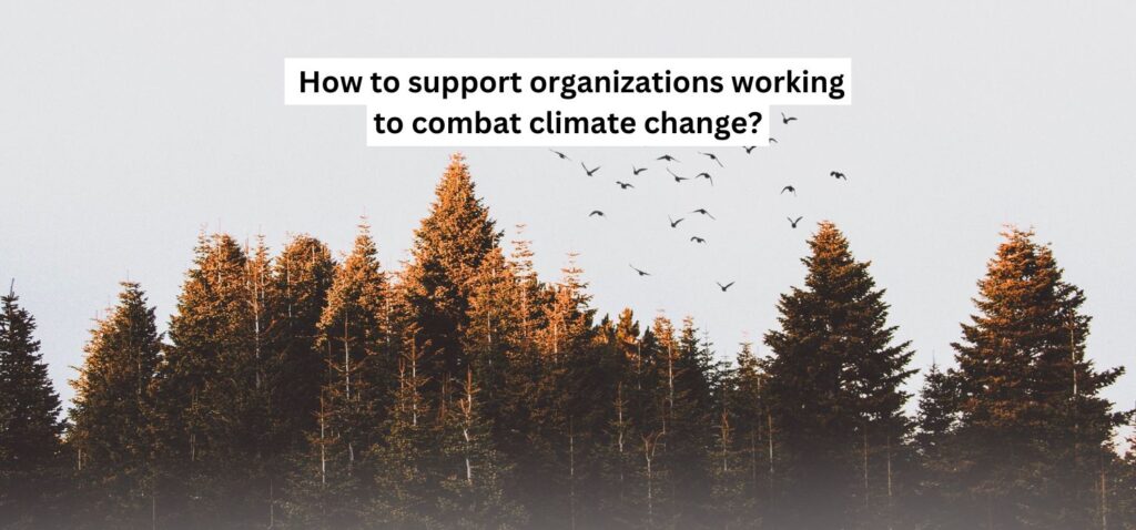 How to support organizations working to combat climate change?