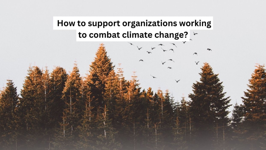 How to support organizations working to combat climate change?
