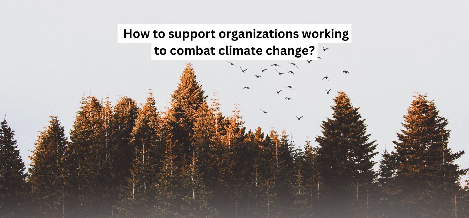 How to support organizations working to combat climate change