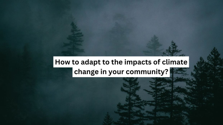 How to support renewable energy sources to mitigate climate change (1)