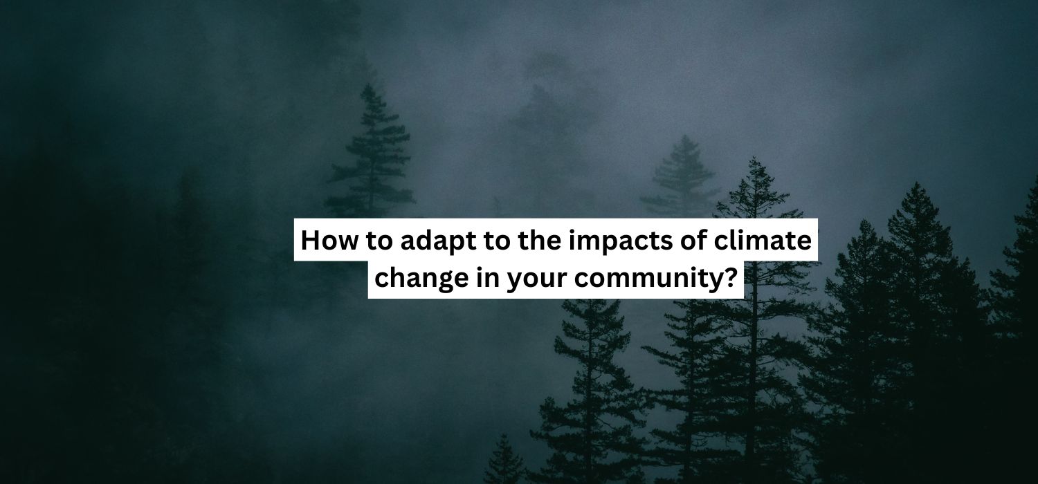 How to adapt to the impacts of climate change in your community