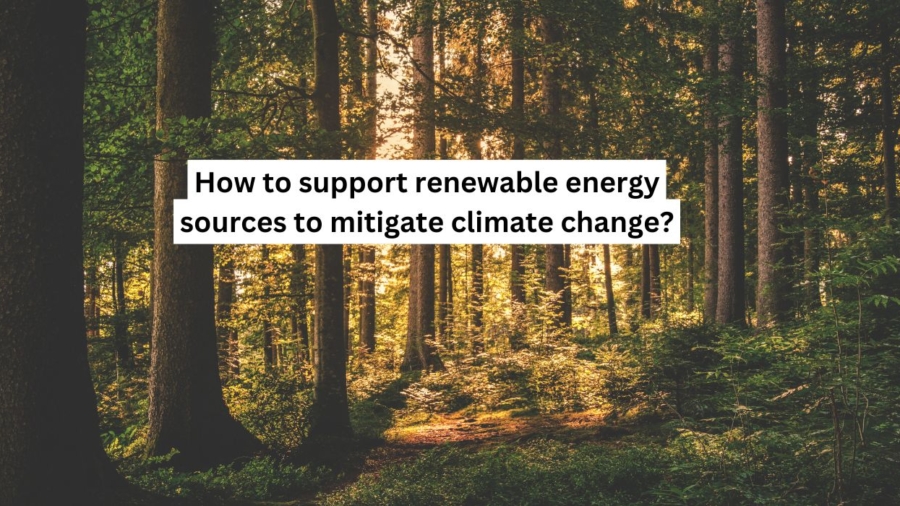 How to support renewable energy sources to mitigate climate change