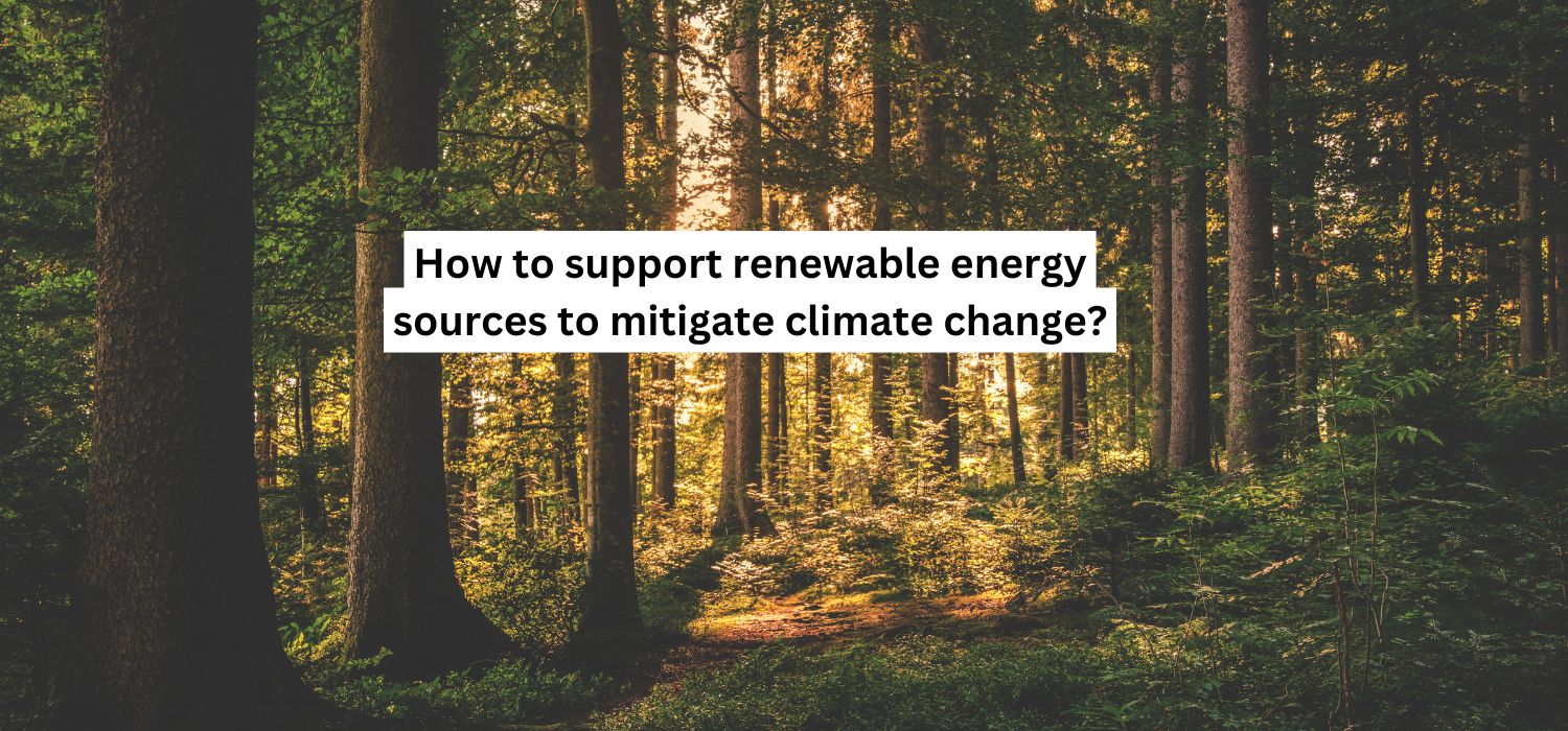 How to Support Renewable Energy Sources to Mitigate Climate Change