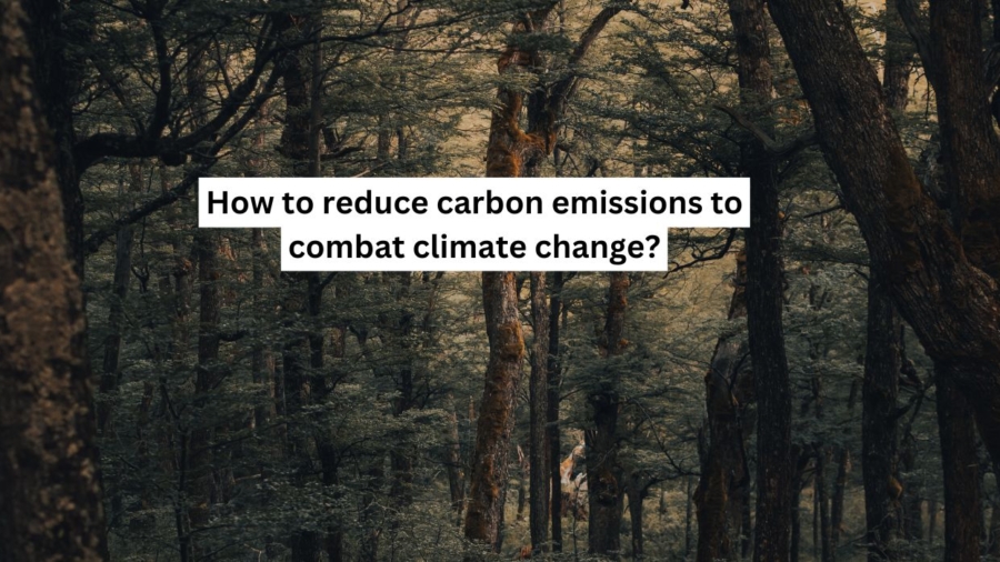 How to reduce carbon emissions to combat climate change