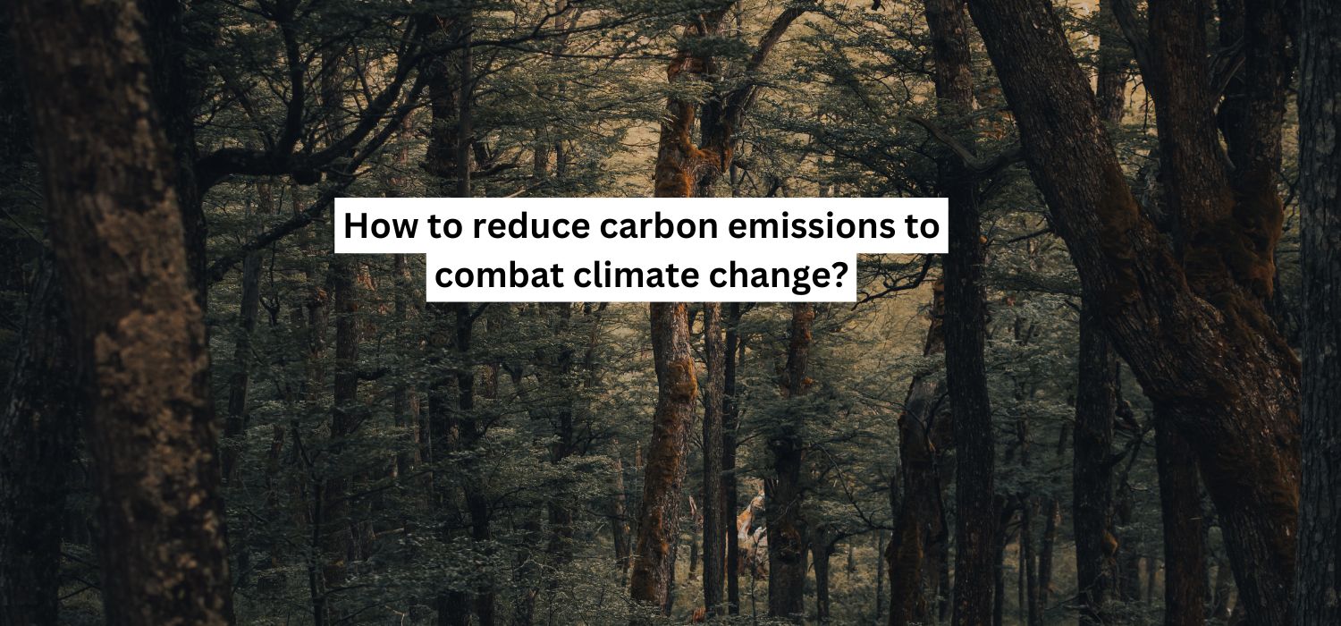 How to reduce carbon emissions to combat climate change