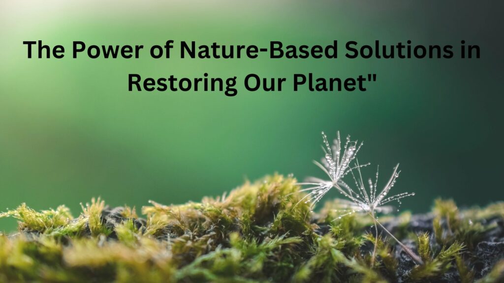 The Power of Nature-Based Solutions in Restoring Our Planet"