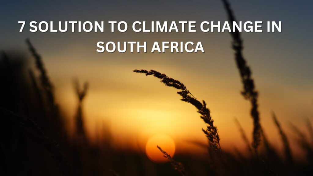 7 solution to climate change in south africa